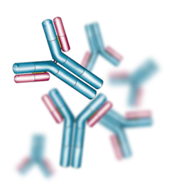 Cell Signaling - Antivielas