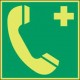 EMERGENCY TELEPHONE PIC374-100*100-B7541 
