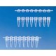 STRIP 8PCR TUBE 0.2ML PP CLEAR W/O CAP 