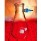 FLASK FILTRATION 250ML ERLENMEYER-SHAPE 