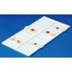 TRAY PVC FOR 20MICROSCOPE SLIDES 