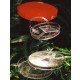 PETRIDISH STARDISH 90MM 3-SECT S-ST 4-V 