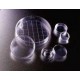 TC DISH STANDARD TC 100X20MM STANDARD 