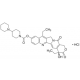 IRINOTECAN topoisomerase inhibitor,