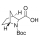 (1R,3S,4S)-N-BOC-2-AZABICYCLO(2.2.1)HEP& 97%,