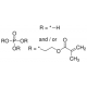 PHOSPHORIC ACID 2-HYDROXYETHYL METHACRYL 