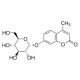 4-METHYLUMBELLIFERYL-A-D-GLUCOSIDE alpha-glucosidase substrate,