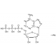 ADENOSINE-13C10,15N5 5'-TRIPHOSPHATE SOD 98 atom % 13C, 98 atom % 15N, Supplied as sodium salt in 100 mM soln in H2O, with 5 mM Tris buffer, 90% (CP),