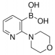2-MORPHOLINOPYRIDINE-3-BORONIC ACID 