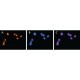 ANTI-HMGB2  (HMG2) affinity isolated antibody,