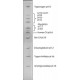 IEF MIX 3.6-9.3 lyophilized powder,
