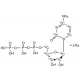 CYTIDINE-13C9- 5'-TRIPHOSPHATE, 98 ATOM& supplied as sodium salt in 100 mM soln in H2O, with 5 mM Tris buffer, 98 atom % 13C, 95% (CP),