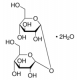 TREHALOSE 