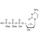 2'-DEOXYCYTIDINE 5'-TRIPHOSPHATE SODIUM 100 MM 100 mM (pH 7),