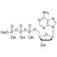 2'-DEOXYADENOSINE 5'-TRIPHOSPHATE*SODIUM 10 mM,