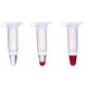 REDACCUTAQ LA DNA POLYMERASE MIX 