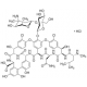 Vancomycin Supplement 