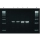 REDTAQ GENOMIC DNA POLYMERASE WITHOUT MGC12 