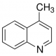 4-METHYLQUINOLINE, 99+% 