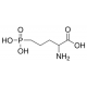 DL-2-AMINO-5-PHOSPHONOVALERIC ACID 