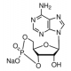 ADENOSINE 3':5'-CYCLIC MONOPHOSPHATESODI >=98.0% (HPLC), powder,