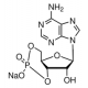 ADENOSINE 3':5'-CYCLIC MONOPHOSPHATESODI UM >=98.0% (HPLC), powder,