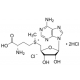 S-ADENOSYL-L-METHIONINE CHLORIDE 