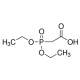 (S)-N-Boc-1,2,3,6-tetrahydro-2-pyridine& >=98.0% (HPLC),