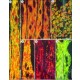 MONOCLONAL ANTI-B-ACTIN, CLONE AC-15 clone AC-15, ascites fluid,