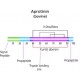 APROTININ, BOVINE LUNG FOR GELFILTRATION 