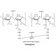 LYSOZYME SOLUTION 10 mg/mL,