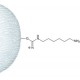 OMEGA-AMINOHEXYL-SEPHAROSE 4B EPOXYACTIV 