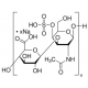 CHONDROITIN SULFATE A SODIUM SALT FROM & 