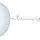 EPOXY-ACTIVATED CROSS-LINKED 4% BEADED*A 