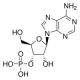 ADENOSINE 3'-MONOPHOSPHATE FREE ACID from yeast,