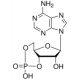 ADENOSINE 3':5'-CYCLIC MONOPHOSPHATEFREE  ACID >=98.5% (HPLC), powder,