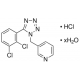 A-438079 HYDROCHLORIDE HYDRATE >=98% (HPLC),