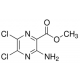 METHYL 3-AMINO-5,6-DICHLORO-2-PYRAZINE-C ARBOXYLATE, 97% 97%,
