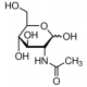 N-Acetyl-D-glucosamine-Agarose, saline suspension,