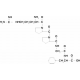 BRADYKININ FRAGMENT 1-5 >=97% (HPLC),