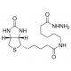 (+)-BIOTINAMIDOHEXANOIC ACID HYDRAZIDE >=90% (TLC), powder,