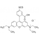 RHODAMINE B ISOTHIOCYANATE, MIXED ISOMERS 