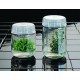 MAGENTA B-CAP for use in plant tissue culture, autoclavable,