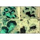BIOTIN CONJUGATE-GOAT ANTI-MOUSE IGM-MU CHAIN SPEC affinity isolated antibody, buffered aqueous solution,