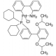 CHLORO(2-DICYCLOHEXYLPHOSPHINO-2',6'& 