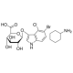 X-GLCA, REAGENT FOR SELECTION OF RECOMB& 