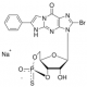 RP-8-BROMO-BETA-PHENYL-1,N2-ETHENOGUANOSINE 3',5'-CYCLIC MONOPHOSPHOROTHIOATE SODIUM SALT HYDRATE 