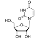 URIDINE BIOREAGENT, SUITABLE FOR CELL CULTURE 