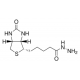 BIOTIN HYDRAZIDE >=97% (TLC), powder,