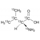 L-VALINE-13C5,15N, 98 ATOM% 13C, 98 ATO& 